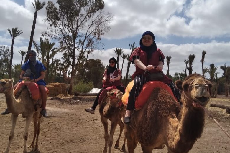 Camel Ride in the Palmeraie of Marrakech                                                                                                                טיול גמלים בפלמריה של מרקש